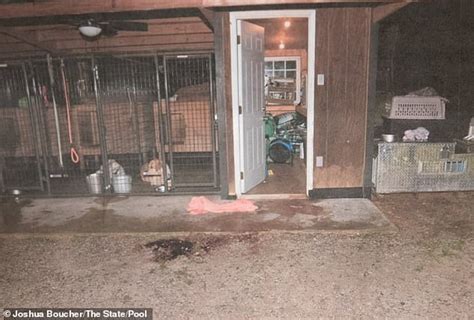 alex murdaugh crime scene pictures|Chilling photos reveal bloody crime scene where Maggie and Paul ...